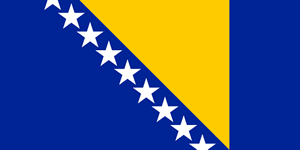 Bosnia & Herzegovina Flag