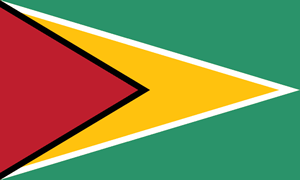Guyana Flag