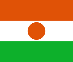 Niger Flag