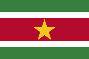 Suriname Flag