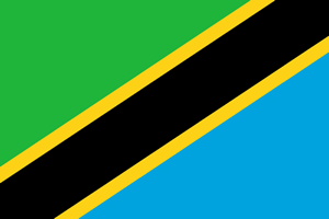 Tanzania Flag
